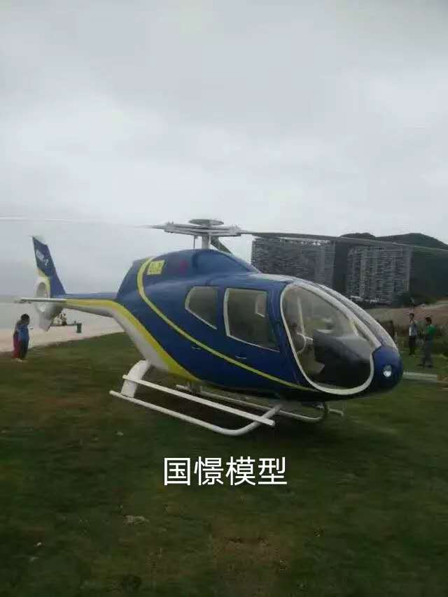 枣庄飞机模型
